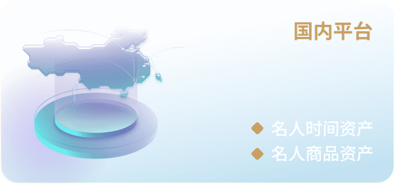 国内平台